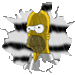 Avatar de Usuario